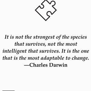 Meet your Posher, Celeste